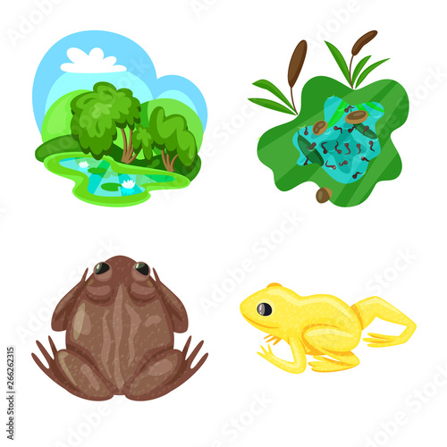 Fototapeta Naklejka Na Ścianę i Meble -  Isolated object of frog and anuran icon. Set of frog and animal vector icon for stock.