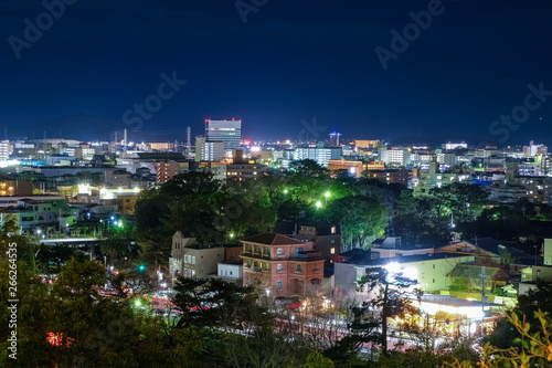 和歌山市 夜景（和歌山城公園から）