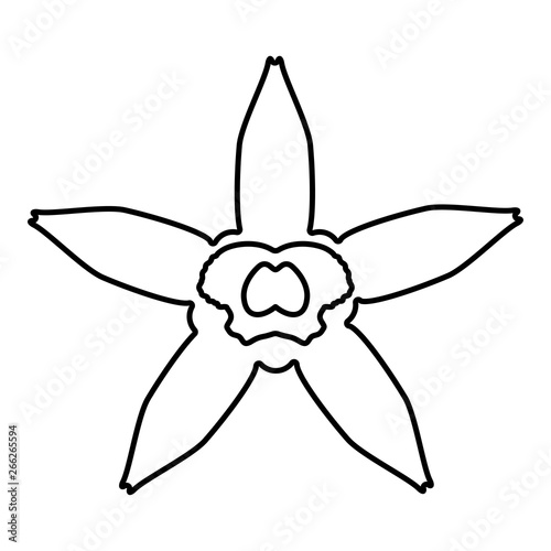 Vanilla flower icon outline black color vector illustration flat style image
