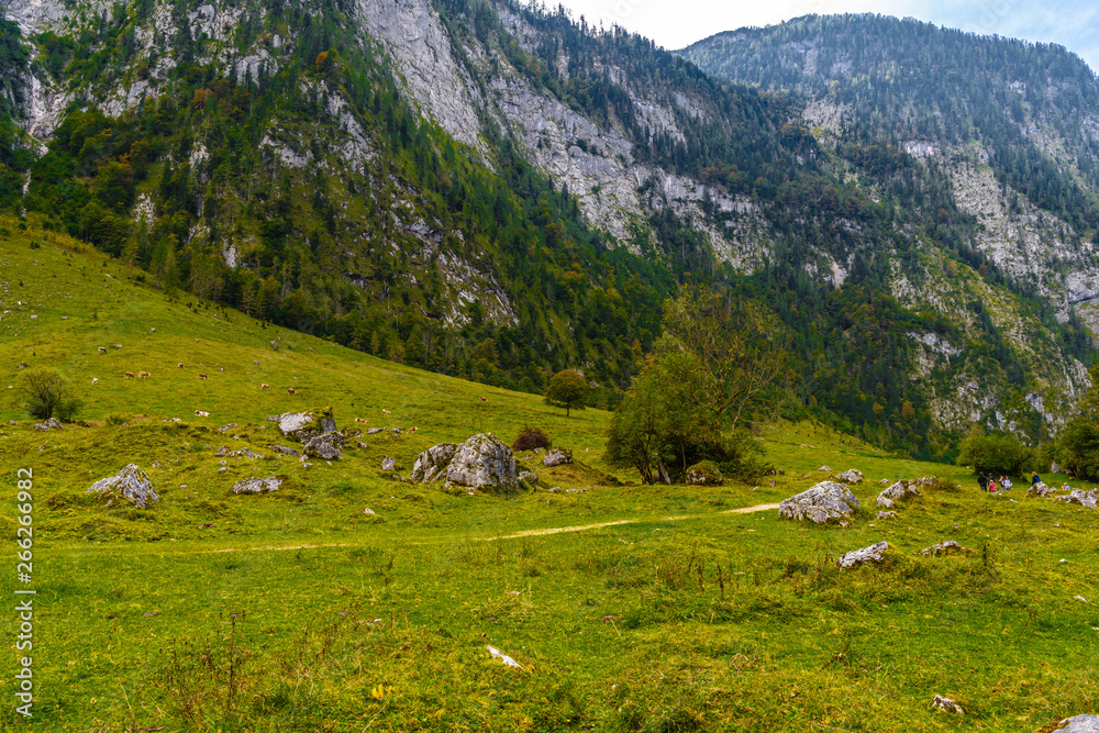 Boulder stones in Koenigssee, Konigsee, Berchtesgaden National Park, Bavaria, Germany.