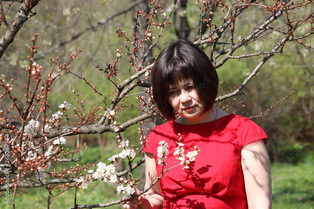 Dreaming woman in red dress enjoys the spring standing near the sakura tree. Cherry blossom in sunny japanese garden Dreaming woman in red dress enjoys the spring standing near the sakura tree. Cherry blossom in sunny japanese garden