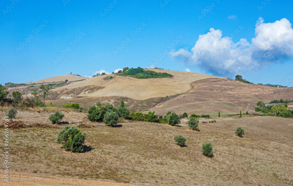 Fototapeta premium Campagna Pisana