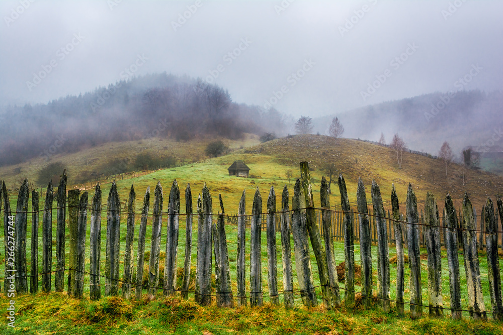 Foggy rural landscape in Carpathian mountains