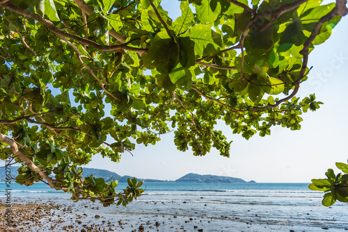 Fototapeta Naklejka Na Ścianę i Meble -  Summer seascape on tropical Phuket island in Thailand. Landscape taken on main long sunrise beach with blue sky and white sand