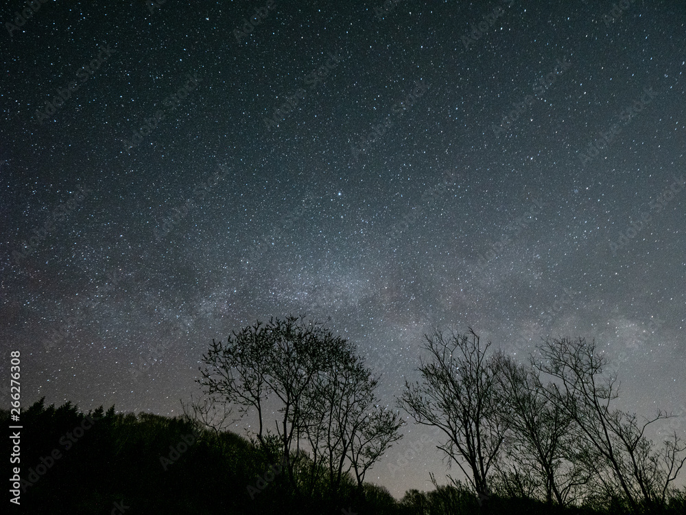 星空 テント 天の川