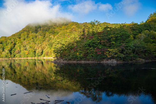 Autumn forest moriyoshi