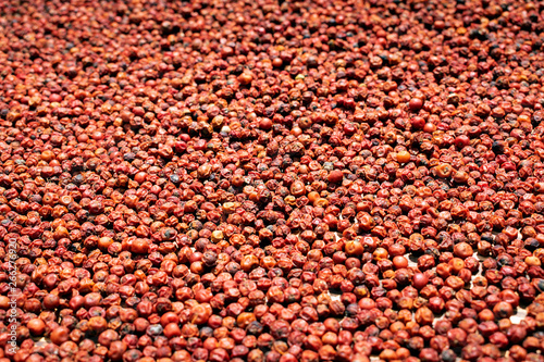 asian red peppercorns drying in the sun