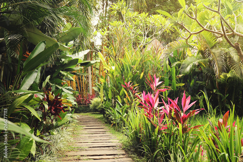 Tropical garden with amazing plants and flowers. retro style.