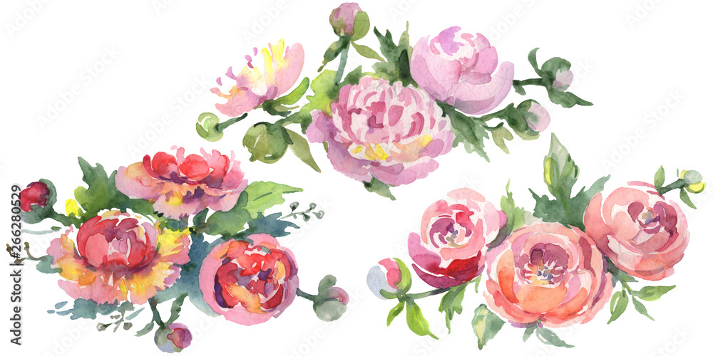 Peony bouquet floral botanical flowers. Watercolor background illustration set. Isolated bouquets illustration element.