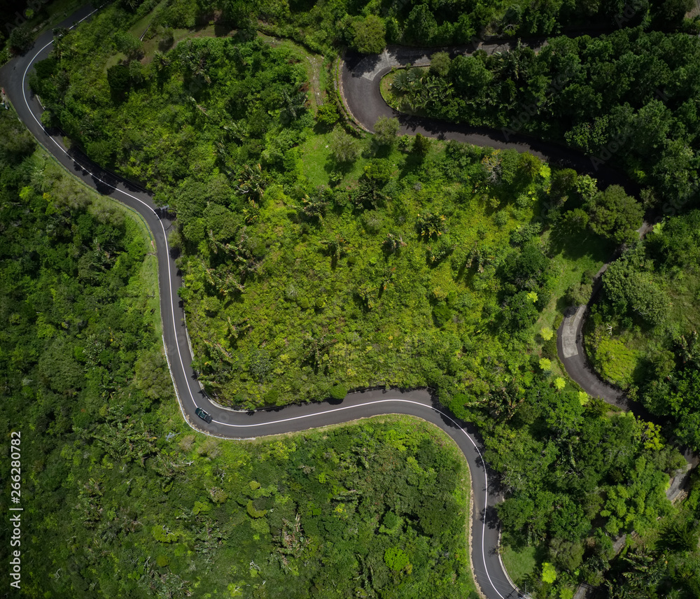 Roads in Mauritius, covered by jungle