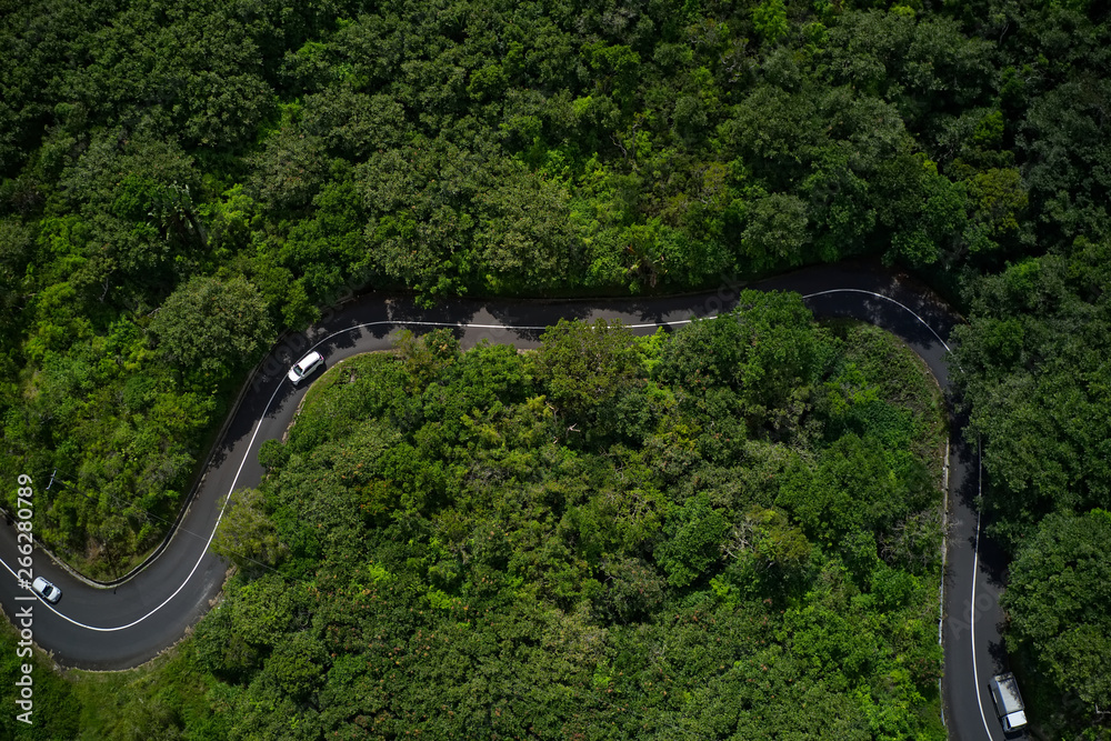 Obraz premium Jungle roads in Mauritius