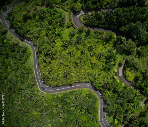 Roads in Mauritius, covered by jungle