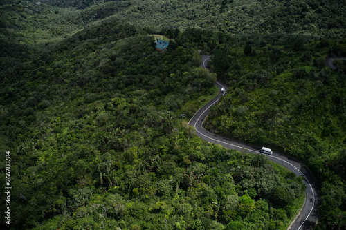 Road winding through the jungle
