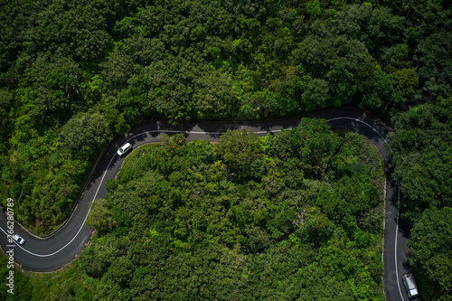Jungle roads in Mauritius © mellsva