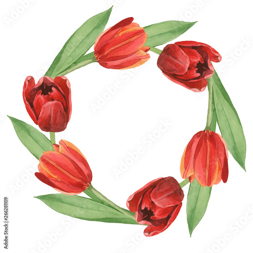 Wallpaper Mural Red tulip floral botanical flowers. Watercolor background illustration set. Frame border ornament square. Torontodigital.ca