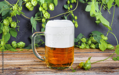 Glass mug of cold fresh golden beer on wooden table