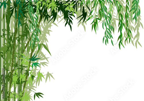 lush green color bamboo corner on white