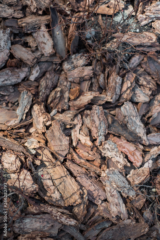 Clean, fresh, pine bark mulch beautifully illuminated by the sun. Clean, fresh, pine bark mulch beautifully illuminated by the sun.