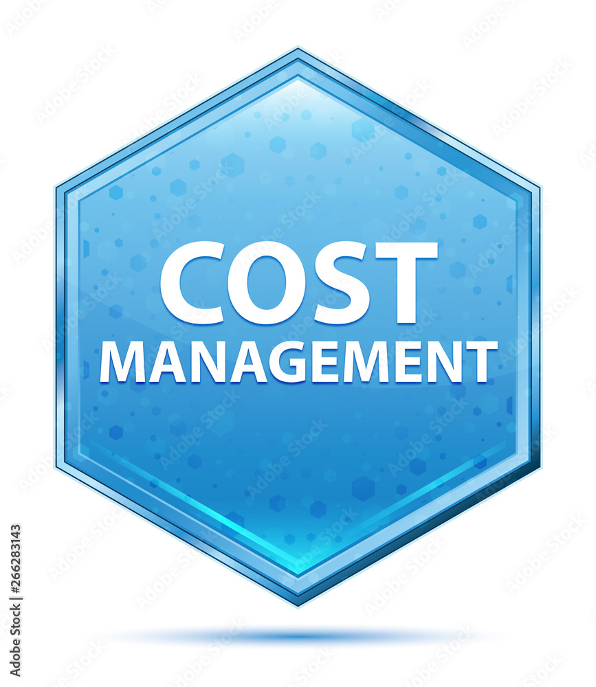 Cost Management crystal blue hexagon button Cost Management crystal blue hexagon button