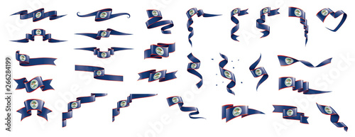 Belize flag  vector illustration on a white background