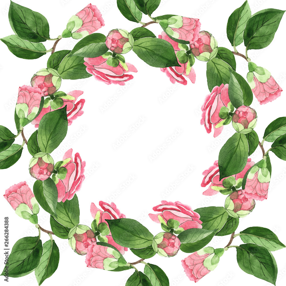Pink camelia floral botanical flowers. Watercolor background illustration set. Frame border ornament square.