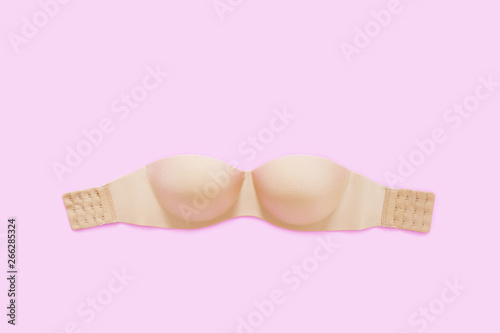 Beautiful Beige Underwear Isolated. Set of Fashionable Accessory Lingerie (Bikini), Copy Space. Nude Brassiere. Woman is Lace Sexy Brown Bra (Brassiere) on Pink Color Pastel Background, Top View.