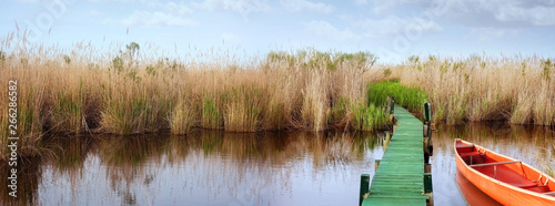 Marshlands and Canoe of Currituck, North Carolina, USA. The lake shore and forest in spring season. Soft blurry background. photo