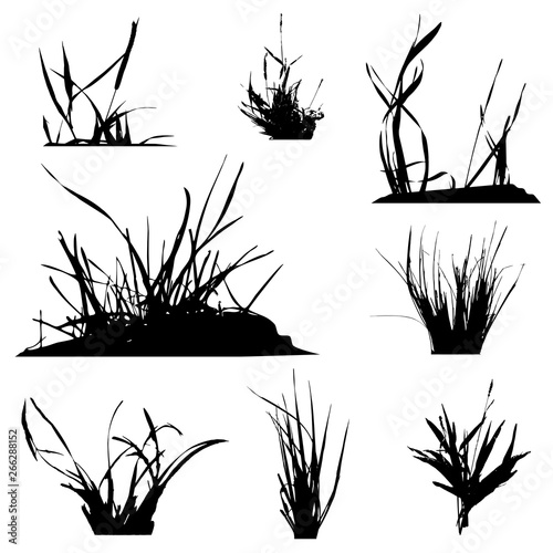 Set with silhouettes of grass  black and white vector illustration