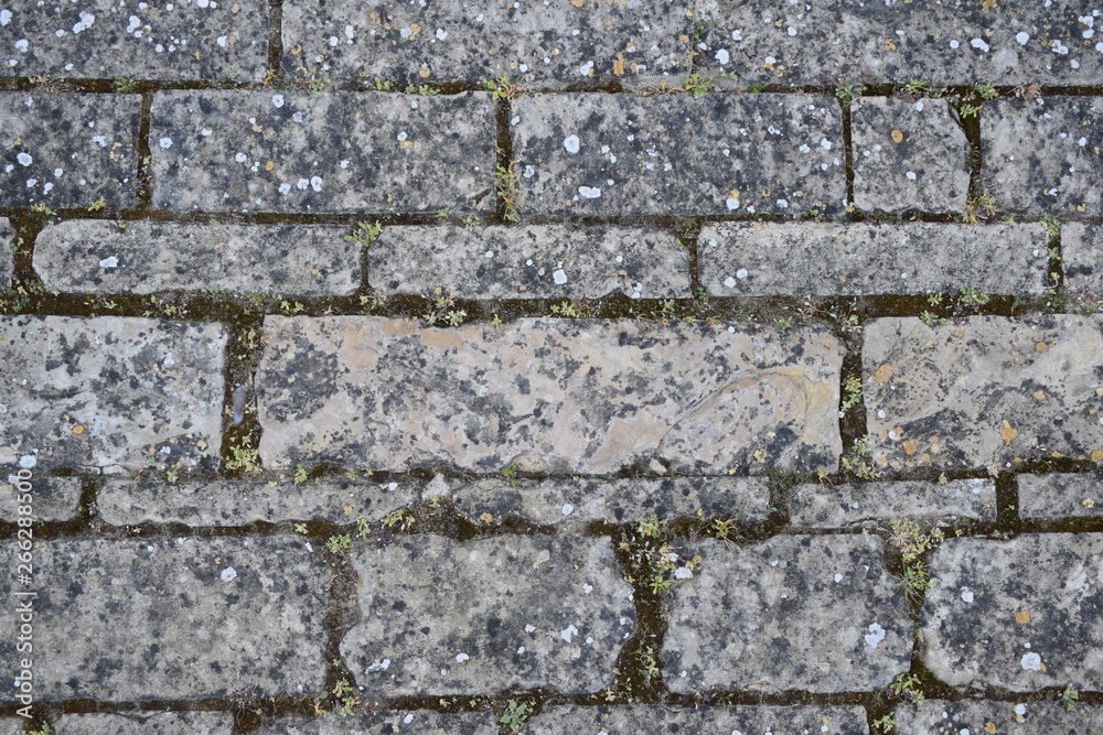 old gray stone wall texture with white dots old gray stone wall texture with white dots