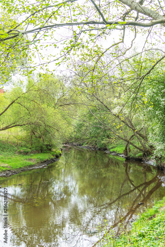 Small river in spring tome. Small river in spring tome.