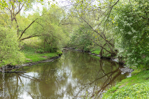 Small river in spring tome.