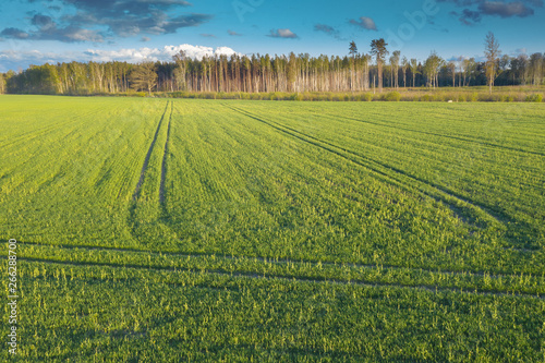 Rural agricultural landscape in evening light.