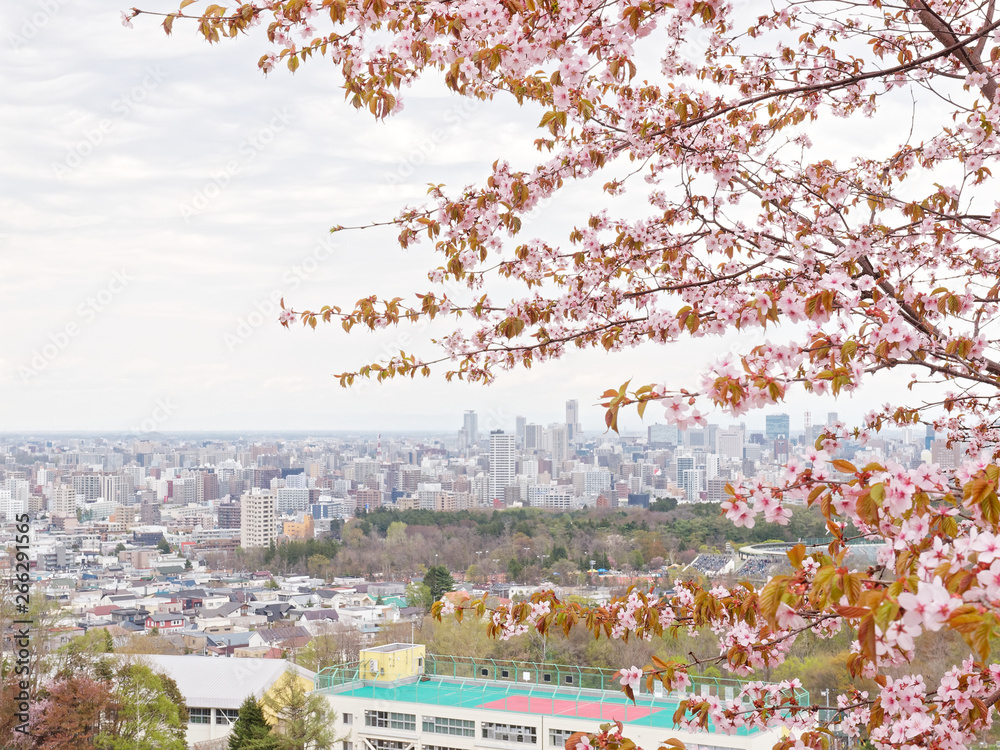 Obraz premium 新井山から望む札幌市街