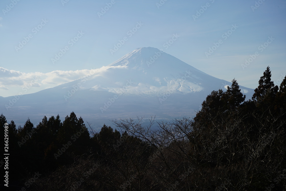 Fototapeta premium 富士山 日本 山 