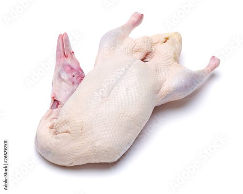 Quadro em tela Raw goose isolated on white background