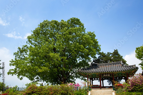 Octagonal Pavilion in korea. © photo_HYANG