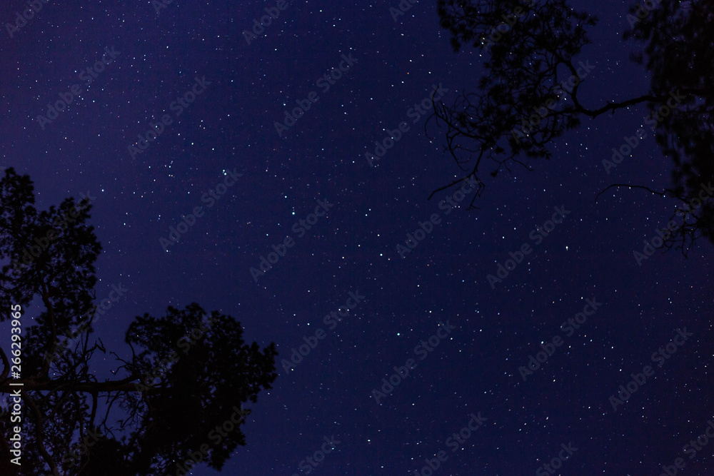 Naklejka premium dark blue sky on long exposure
