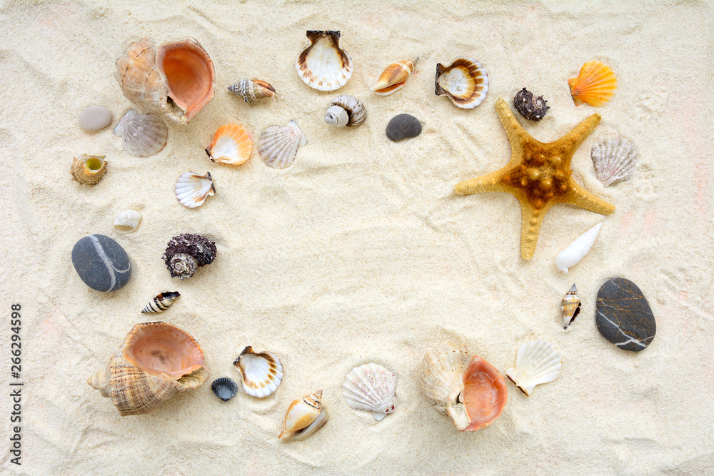 Seashells on sand. Sea summer vacation background. Top vew. Copy space Seashells on sand. Sea summer vacation background. Top vew. Copy space