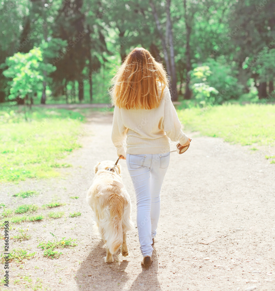 back view owner woman and Golden Retriever dog walking in spring day back view owner woman and Golden Retriever dog walking in spring day