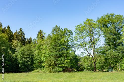 Scenic spring landscape with green fields