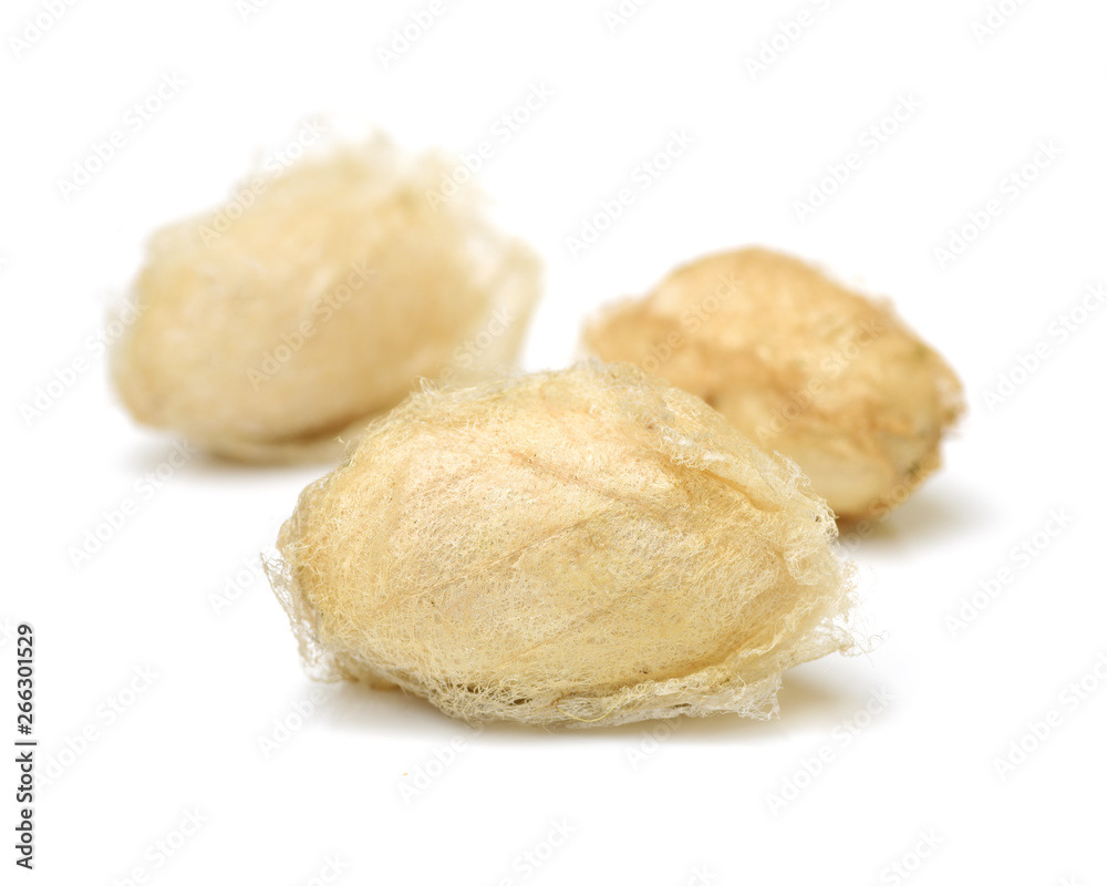 silk cocoon on white background silk cocoon on white background