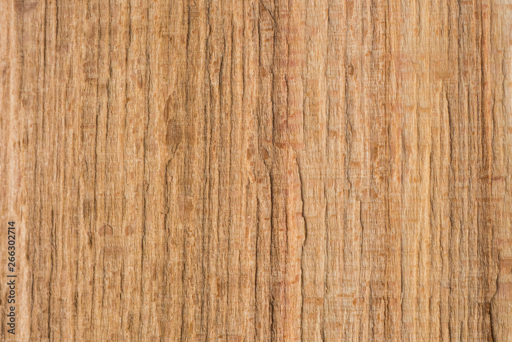 Beech (Fagus sylvatica) wood texture. Interesting abstract background. - obrazy, fototapety, plakaty 