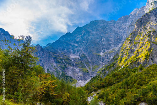 Alps mountains covered with forest  Koenigssee  Konigsee  Berchtesgaden National Park  Bavaria  Germany