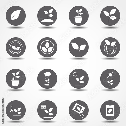 plants icons set. Simple flat vector icons set © OLGA