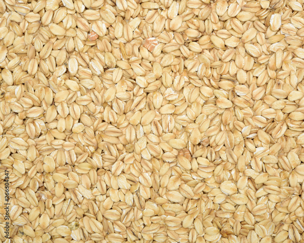 The texture of oatmeal. The texture of oatmeal.