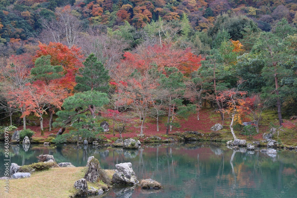 Japan autumn foliage