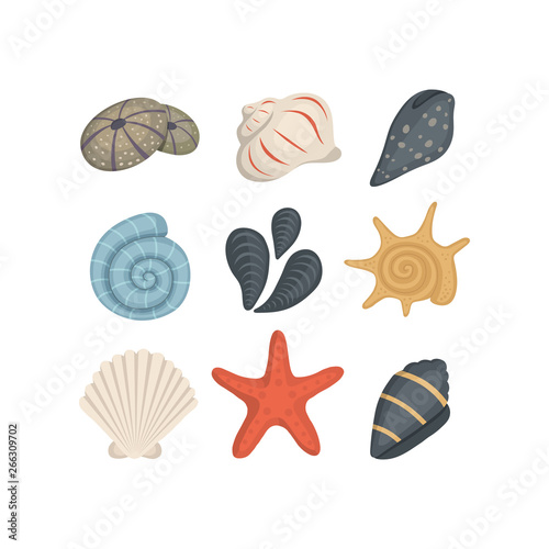 Sea shell vector icons in cartoon style. Set of clam mollusc. Ocean cockleshell.