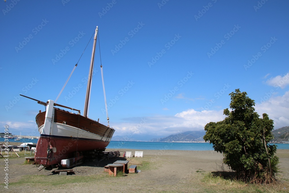 boat on the beach