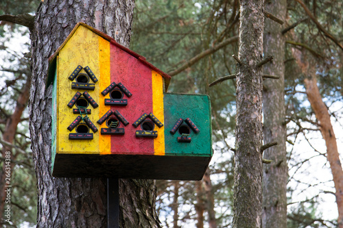 Beautiful bright wooden birdhouse on a tree.