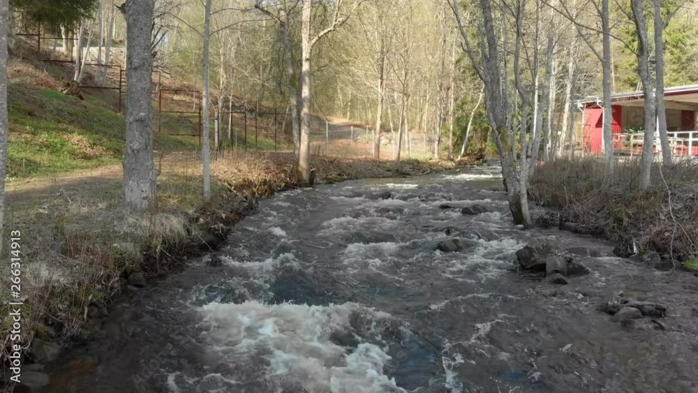 Drone footage flying really close to a fast flowing stream of white foamed water with trees and a building in the background. Filmed in realtime at 4K.